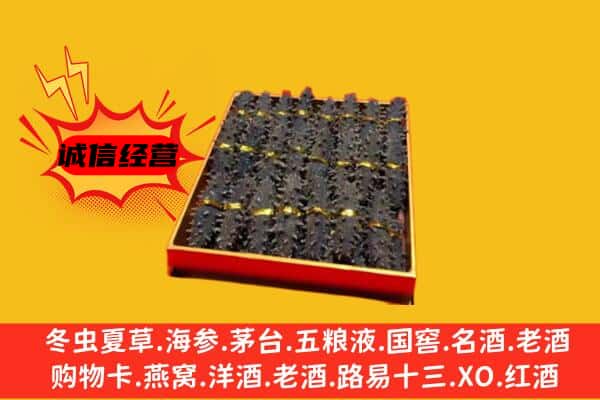 温州市平阳回收海参